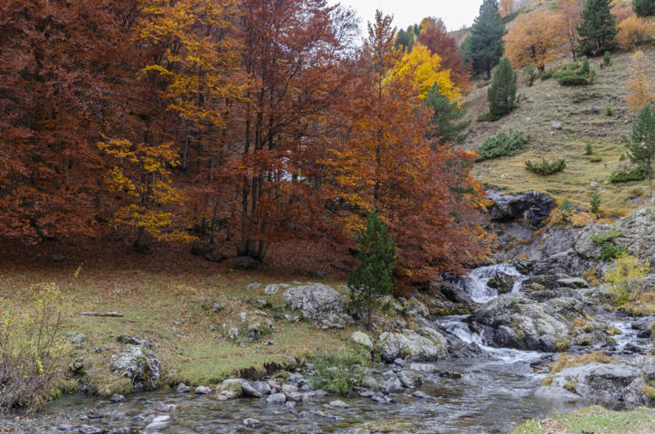 Huesca - valle de Ordiso 07 - rio Ara.jpg